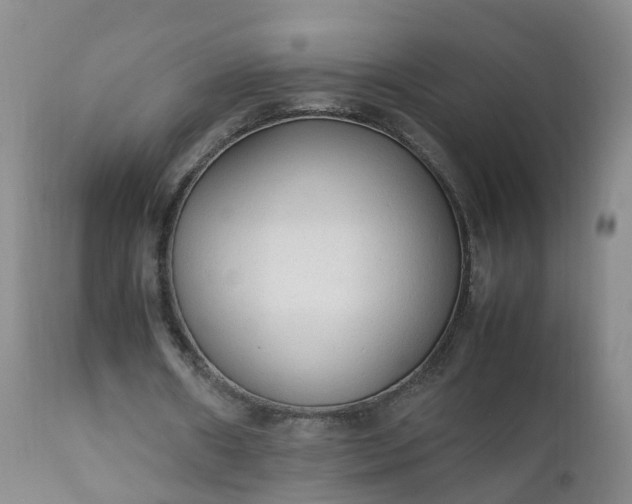 X0000111250482200907091427