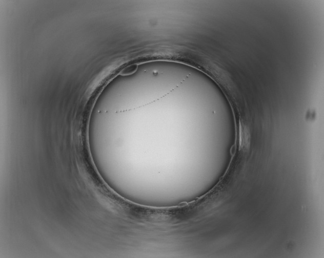 X0000111250483200907091427