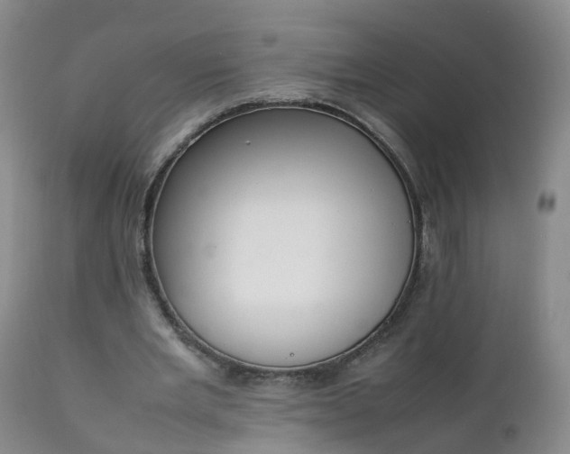 X0000111250485200907091427