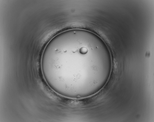 X0000111250487200907091427