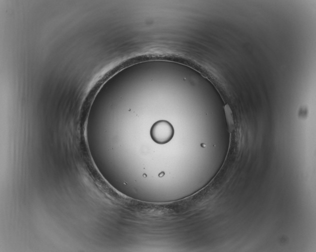 X0000111250488200907091427