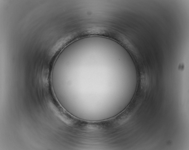 X0000111250490200907091427