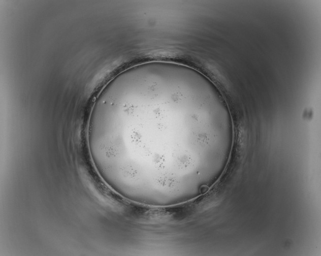 X0000111250491200907091427