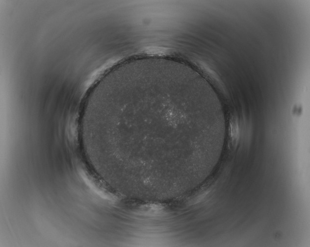 X0000111250492200907091427