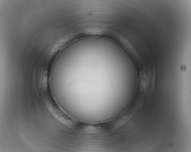 X0000111250494200907091427