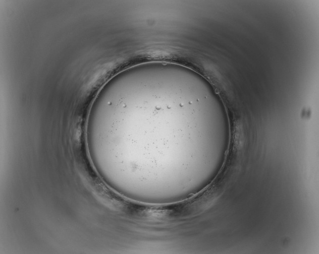 X0000111250495200907091427