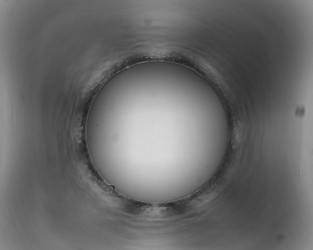 X0000111250497200907091427