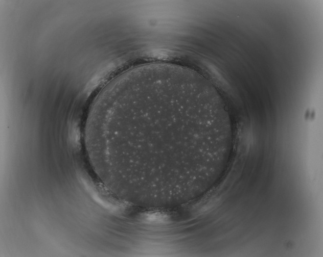 X0000111250500200907091427