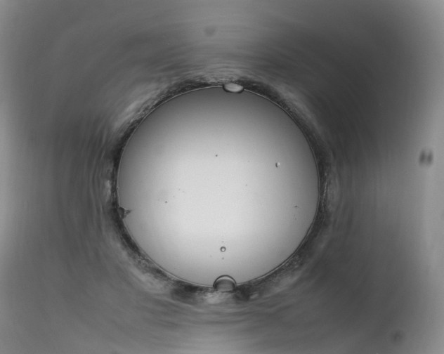 X0000111250501200907091427