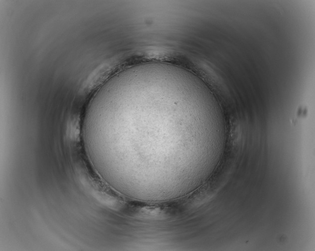 X0000111250502200907091427