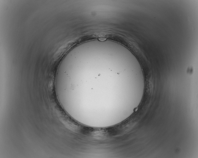 X0000111250505200907091427