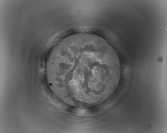 X0000111250507200907091427