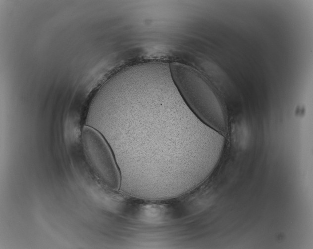 X0000111250508200907091427