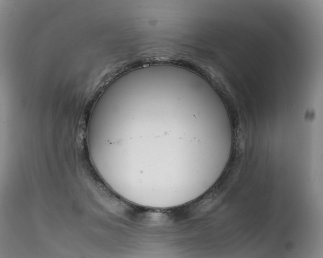 X0000111250509200907091427