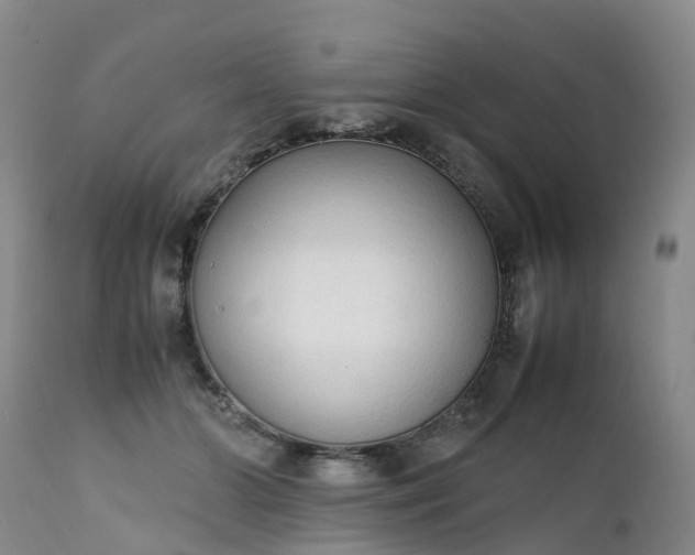 X0000111250510200907091427