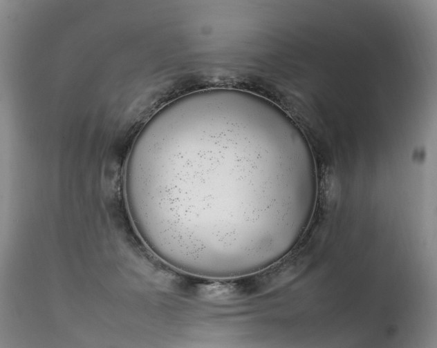 X0000111250511200907091427