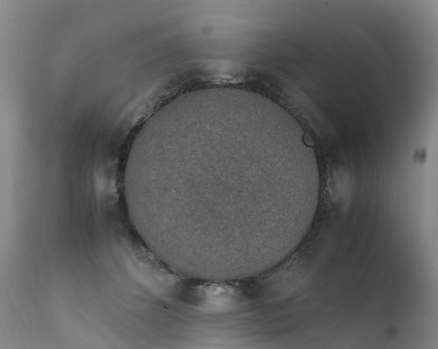 X0000111250512200907091427