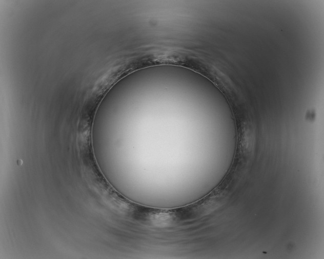 X0000111250513200907091427