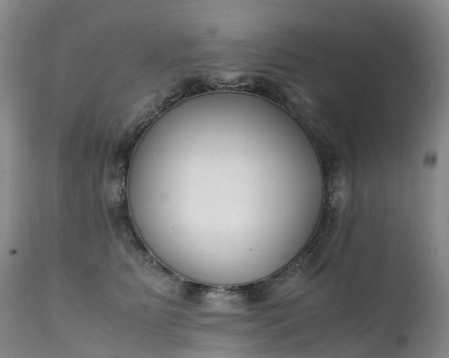 X0000111250515200907091427