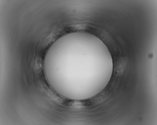 X0000111250518200907091427