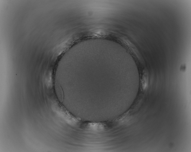 X0000111250520200907091427