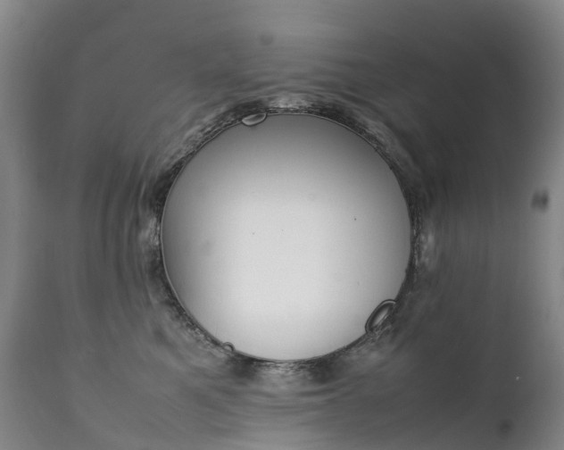 X0000111250521200907091427