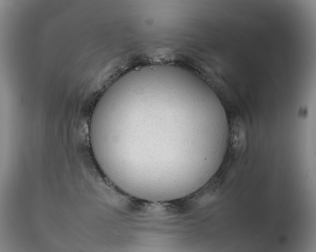 X0000111250523200907091427