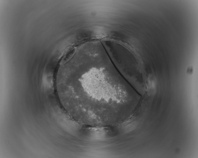 X0000111250524200907091427