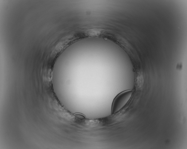 X0000111250525200907091427