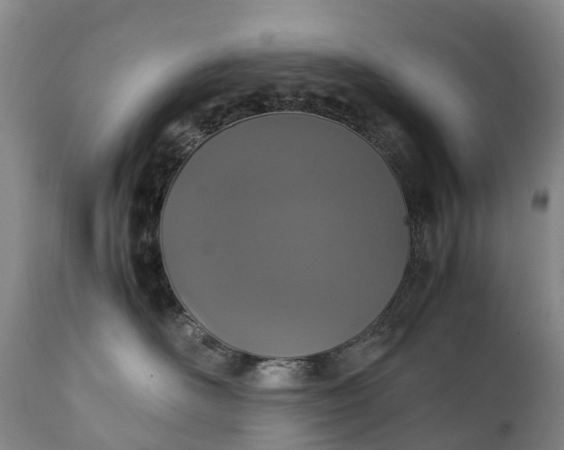 X0000111250526200907091427