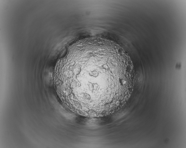 X0000111250527200907091427