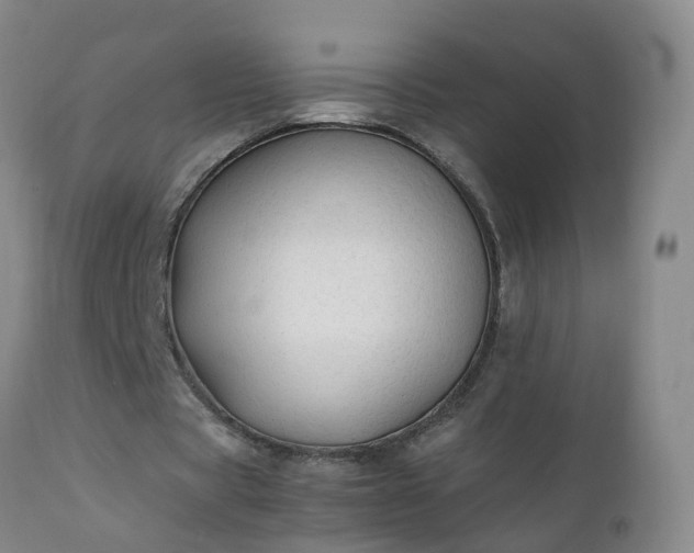 X0000111250529200907091426