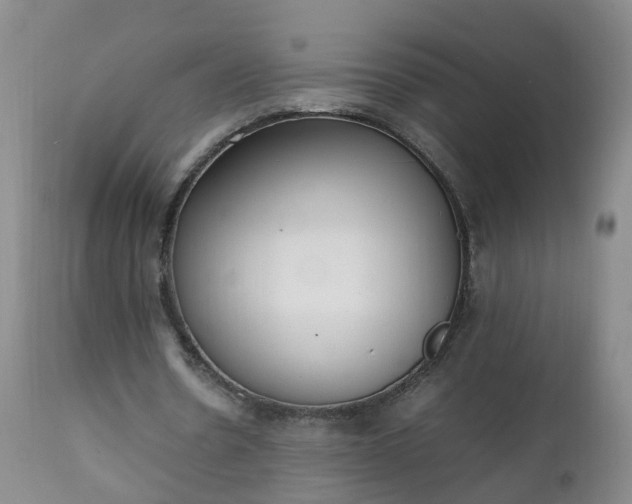 X0000111250530200907091426