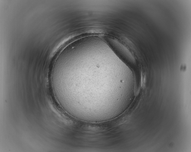 X0000111250531200907091426