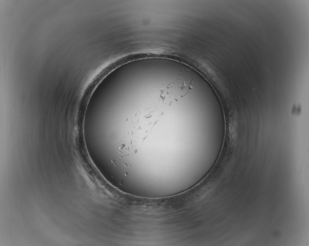 X0000111250532200907091426