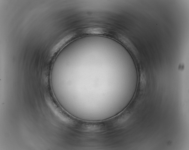 X0000111250533200907091426