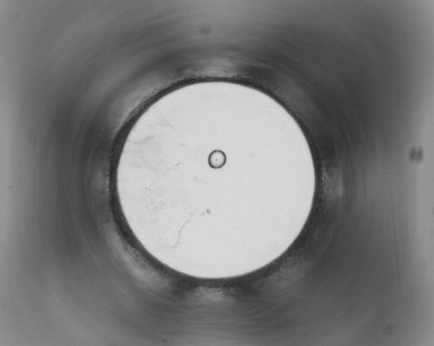 X0000111250534200907091426