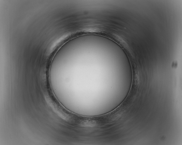 X0000111250535200907091426