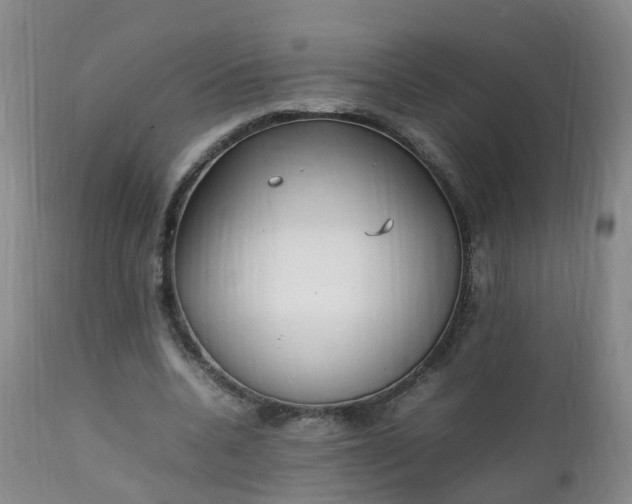 X0000111250536200907091426