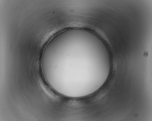 X0000111250538200907091426