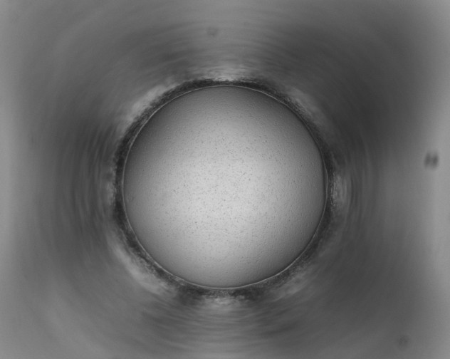 X0000111250540200907091426