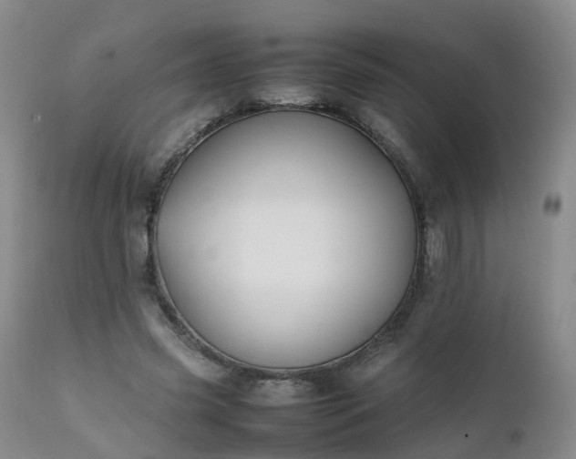 X0000111250541200907091426