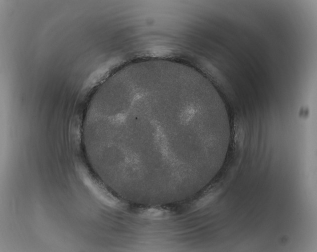 X0000111250542200907091426