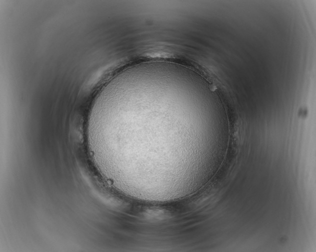 X0000111250547200907091426