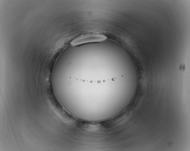 X0000111250548200907091426