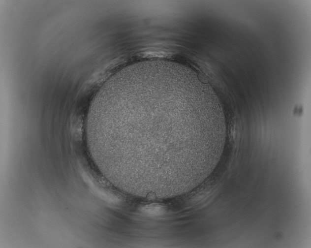 X0000111250551200907091426