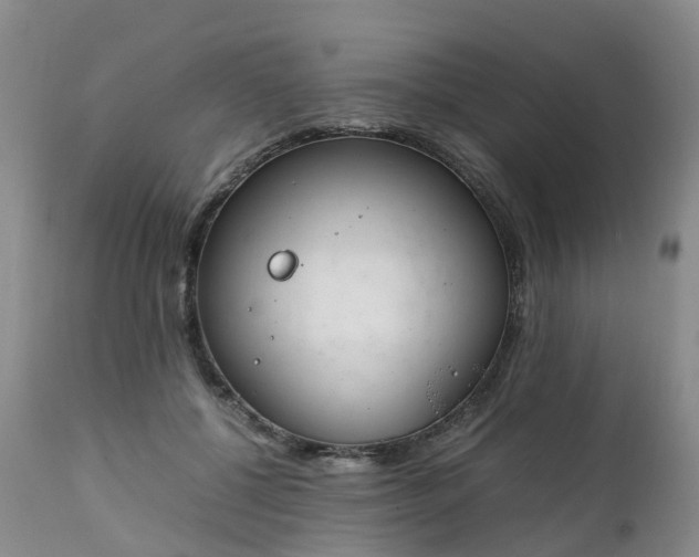 X0000111250552200907091426