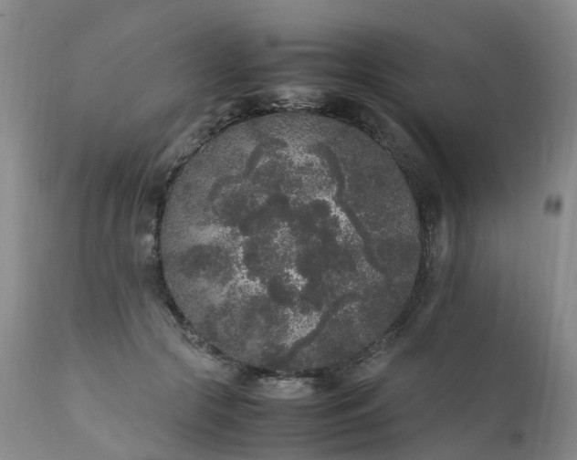 X0000111250553200907091426