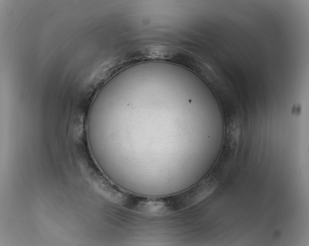 X0000111250554200907091426