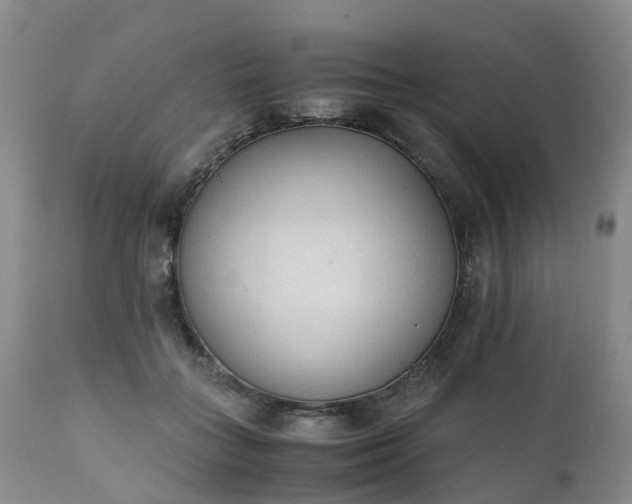 X0000111250555200907091426